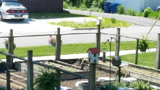 showing a garden with bluebird houses on fence post