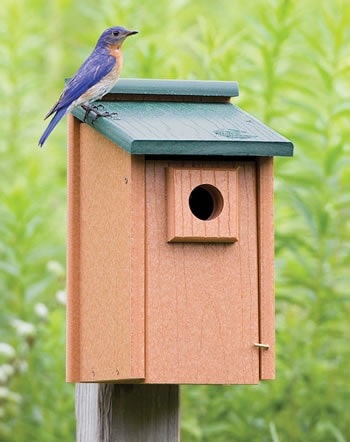 bluebird house hole size