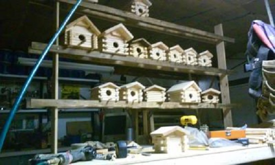 completed log home birdhouses