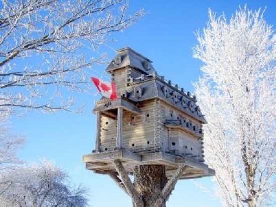 mansion birdhouse