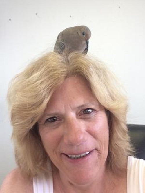 dove sitting on woman's head