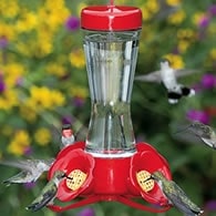 Choosing the Perfect Hummingbird Feeders