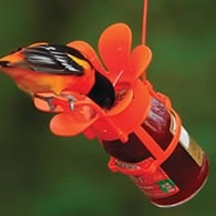 songbird essentials jelly jam feeder