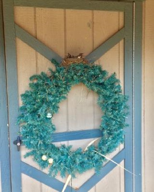 showing robin nest on top of the wreath that was hanging on our shed door